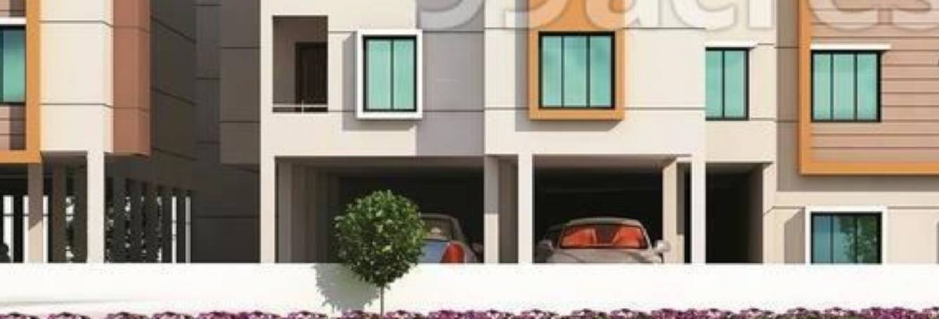 paradise Car Parking