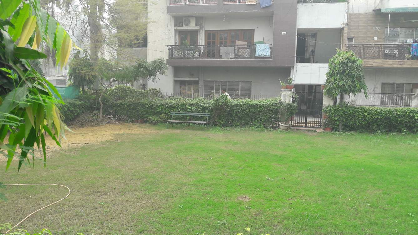 vikas kunj Landscape Garden and Tree Planting