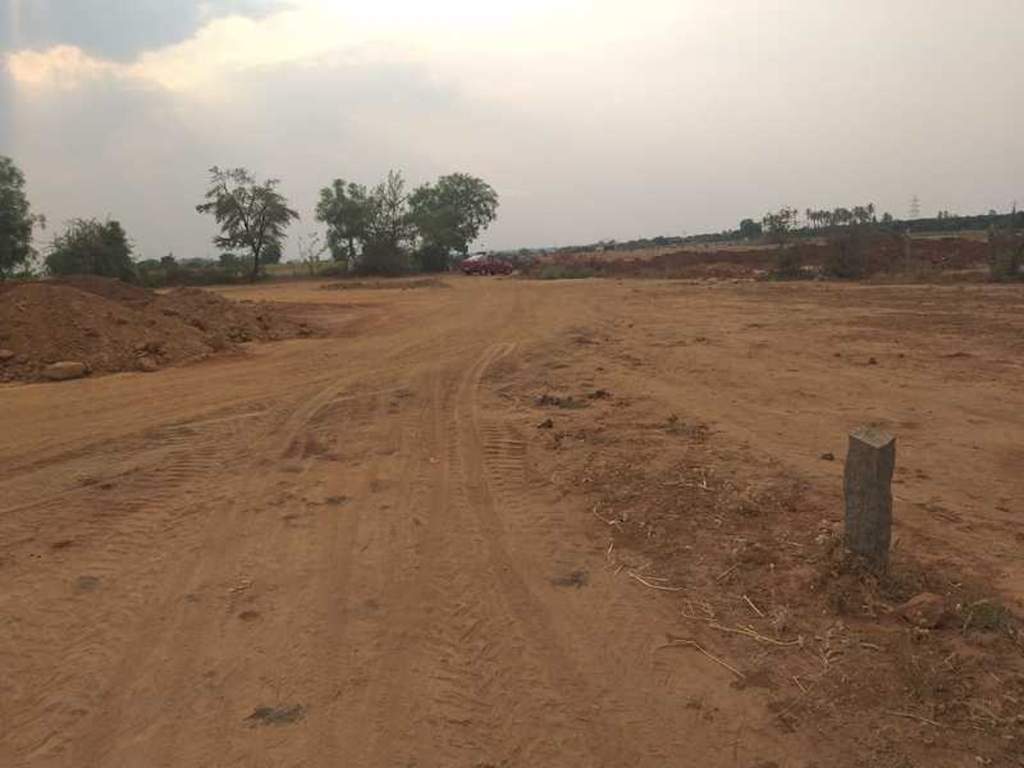  golden gate Elevation