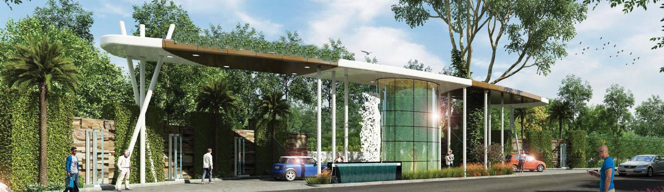 Elevation meadows Elevation