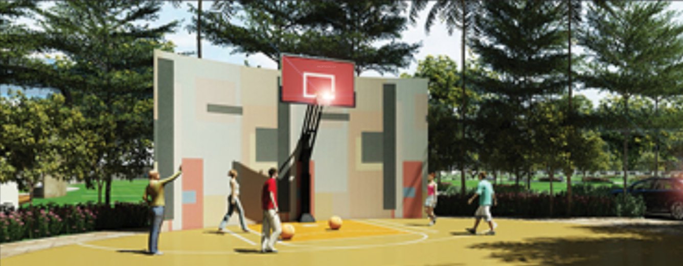  meadows Basketball Court