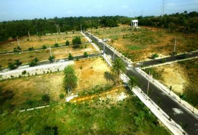  palm-heights Elevation