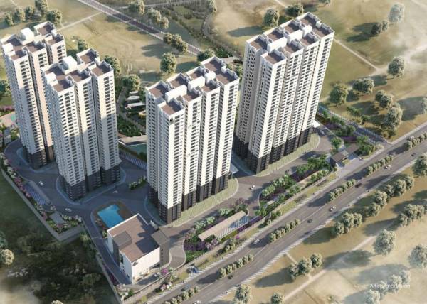 Elevation tranquil Elevation