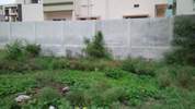 New Amar Nagar