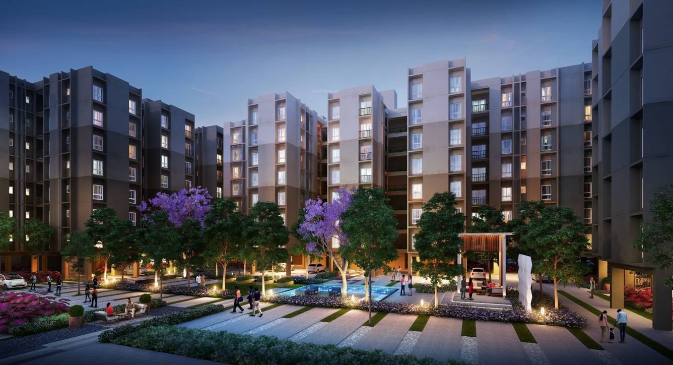 Elevation  oxyprana Elevation