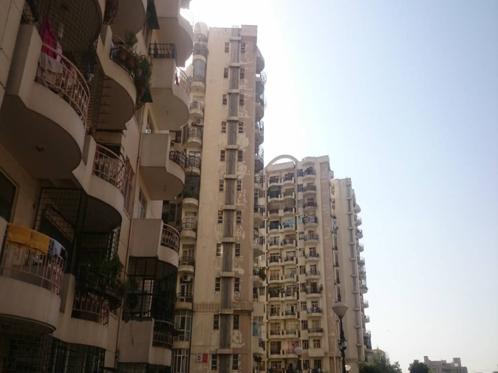  maple crescent Elevation