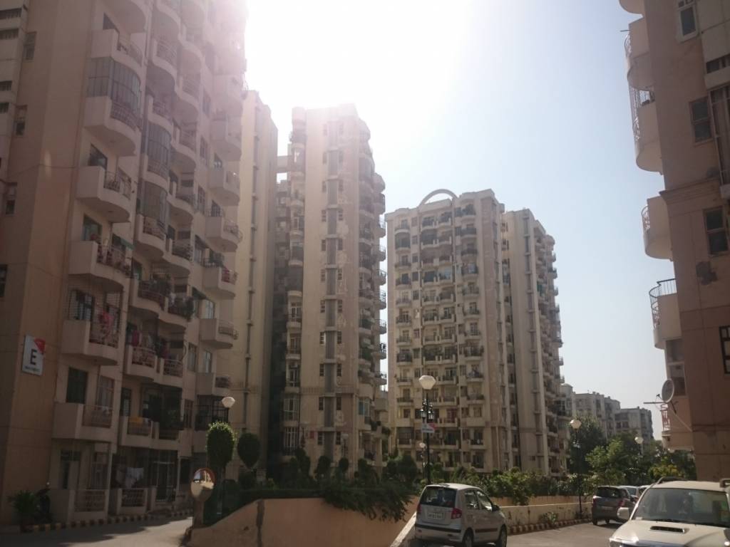  maple crescent Elevation