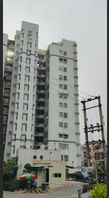  maple crescent Elevation