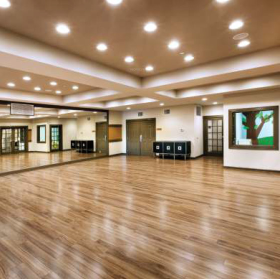  the leela sky villas Others