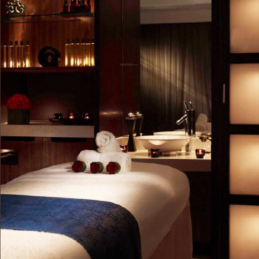  the leela sky villas Others