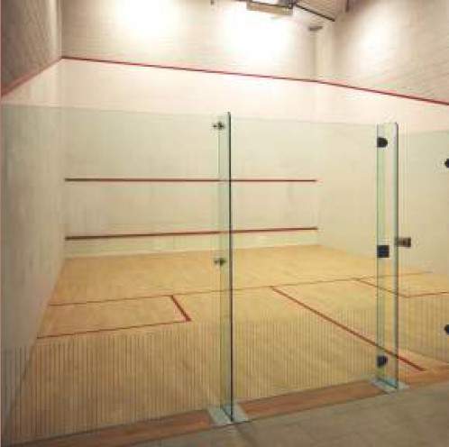  the leela sky villas Squash Court