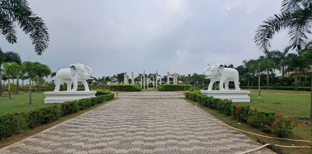  residency phase1 Others