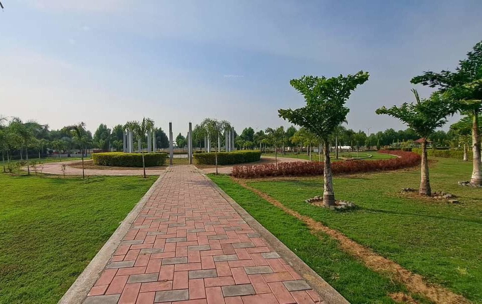  residency phase1 Others