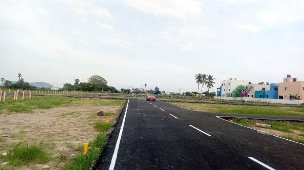  avp-royal-castle Plot