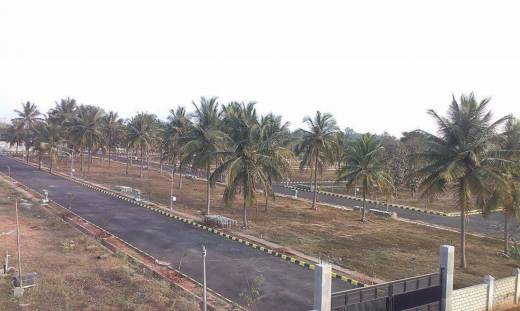 aarohee Elevation Elevation