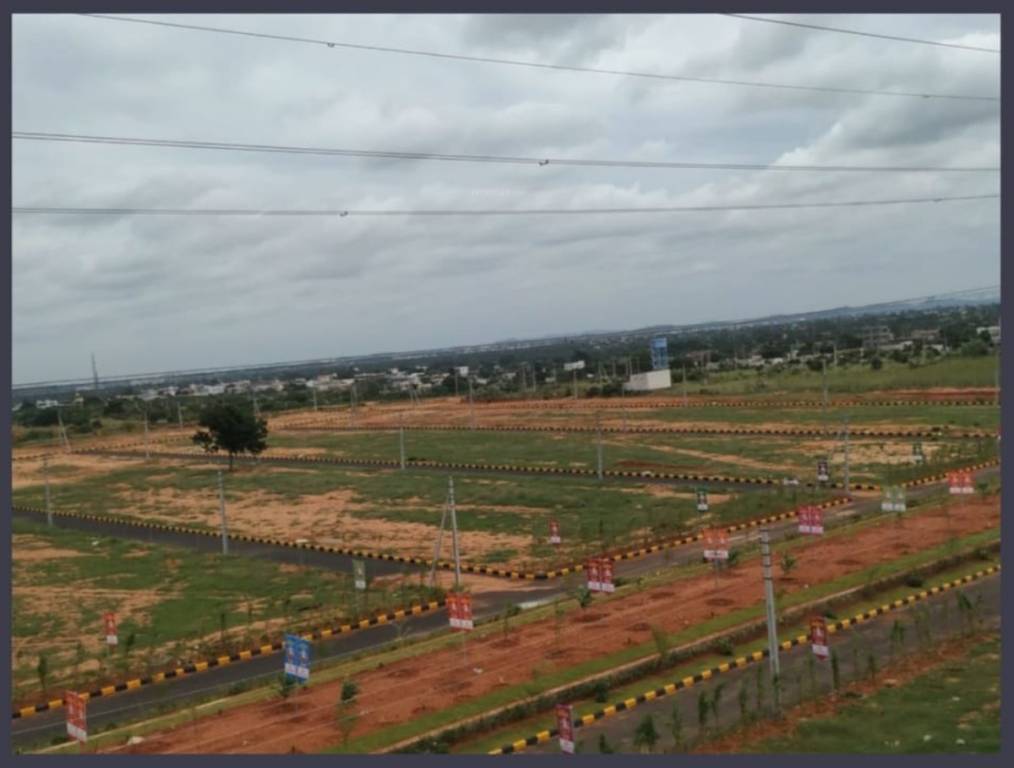  jackpot central plot Plot