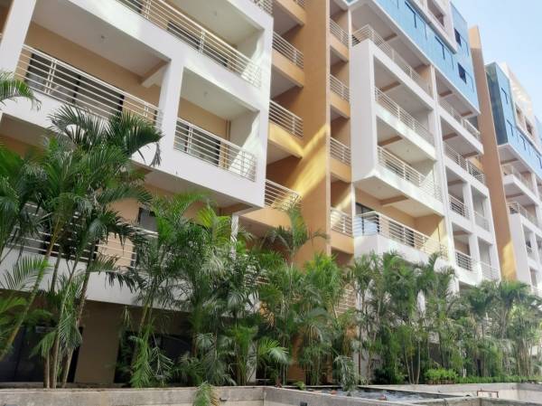 Elevation greens Elevation