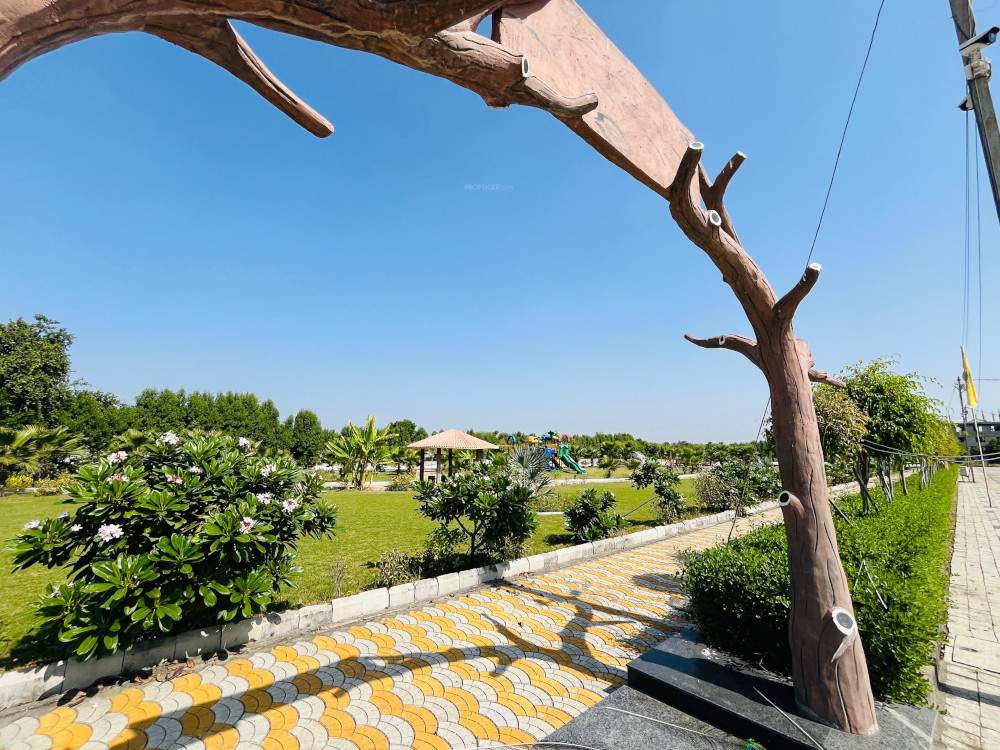 city Landscape Garden and Tree Planting