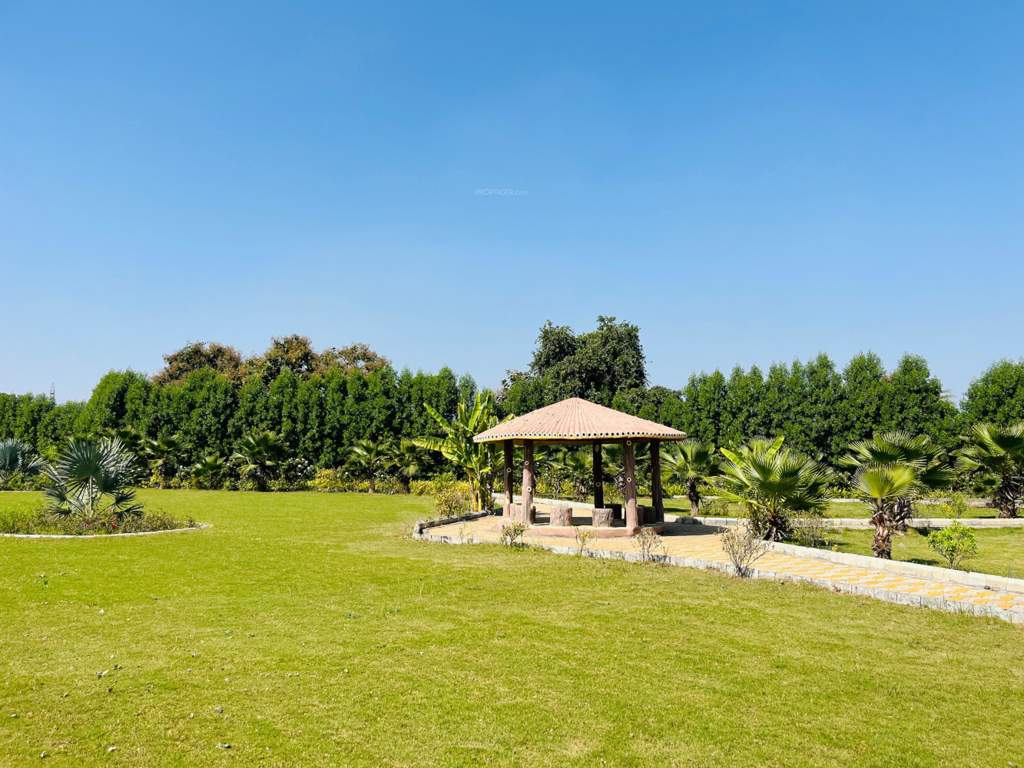 city Landscape Garden and Tree Planting