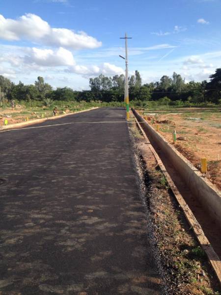  serene Street Lighting