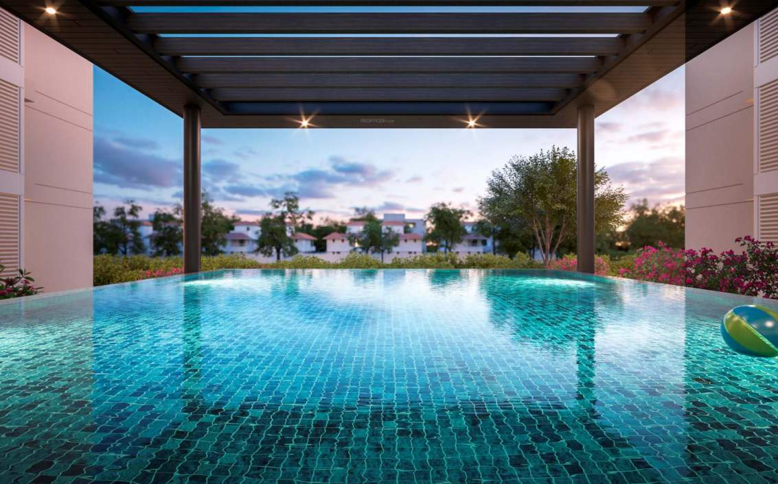 the shine Swimming Pool