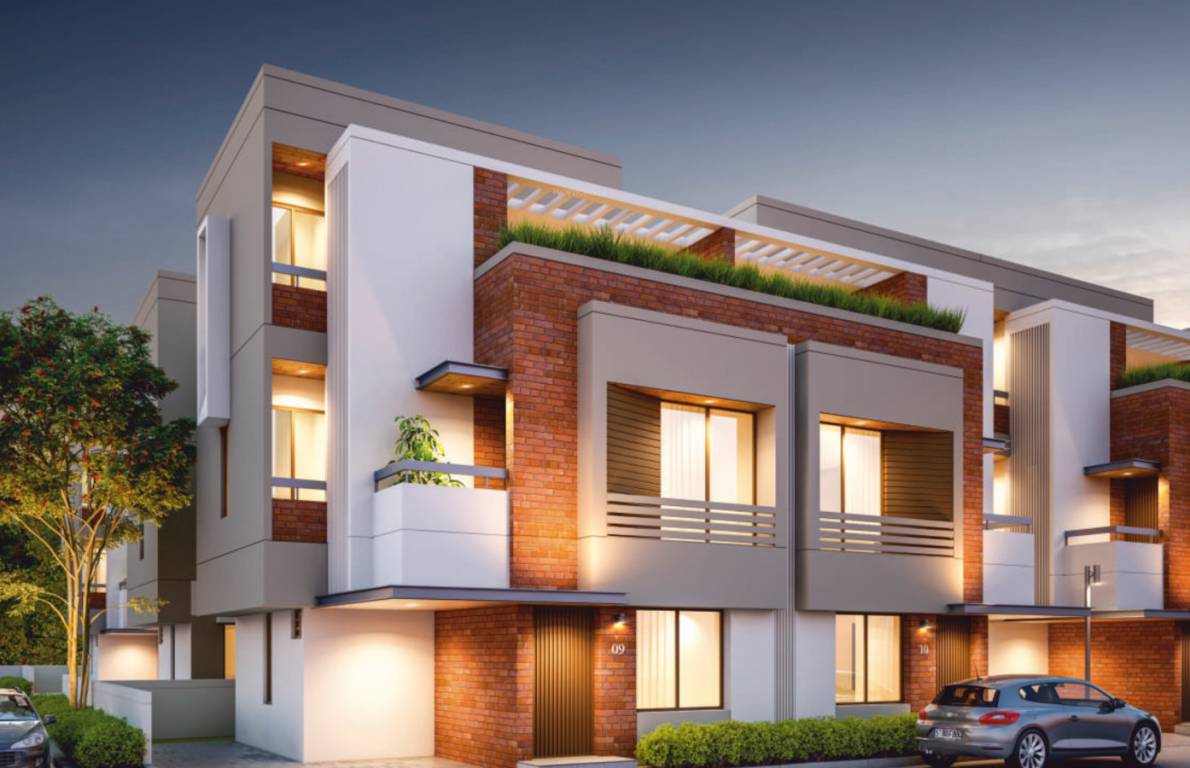 Elevation auro guardian Elevation