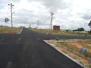 Project Image Project Image