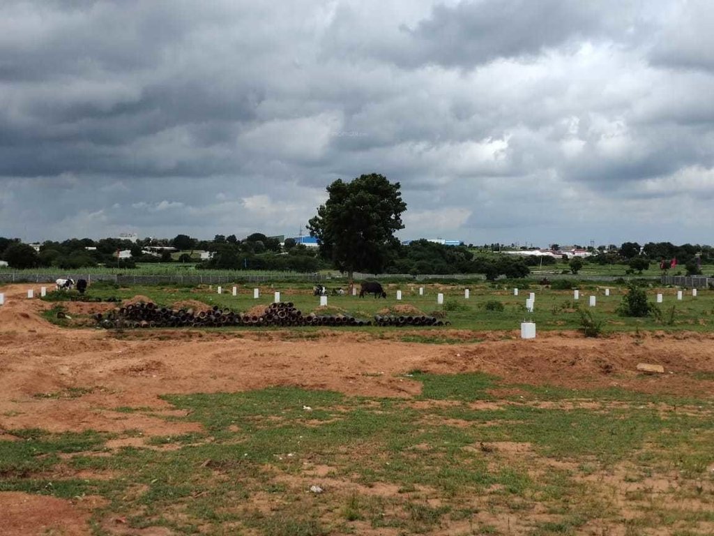  vahinis suvarna sampada Plot