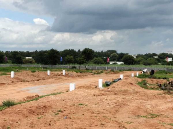  vahinis-suvarna-sampada Plot