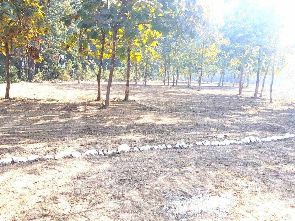 empire estate Elevation