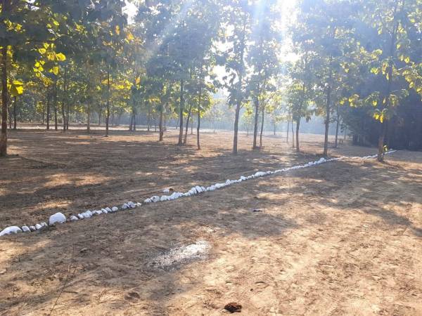 Elevation empire-estate Elevation