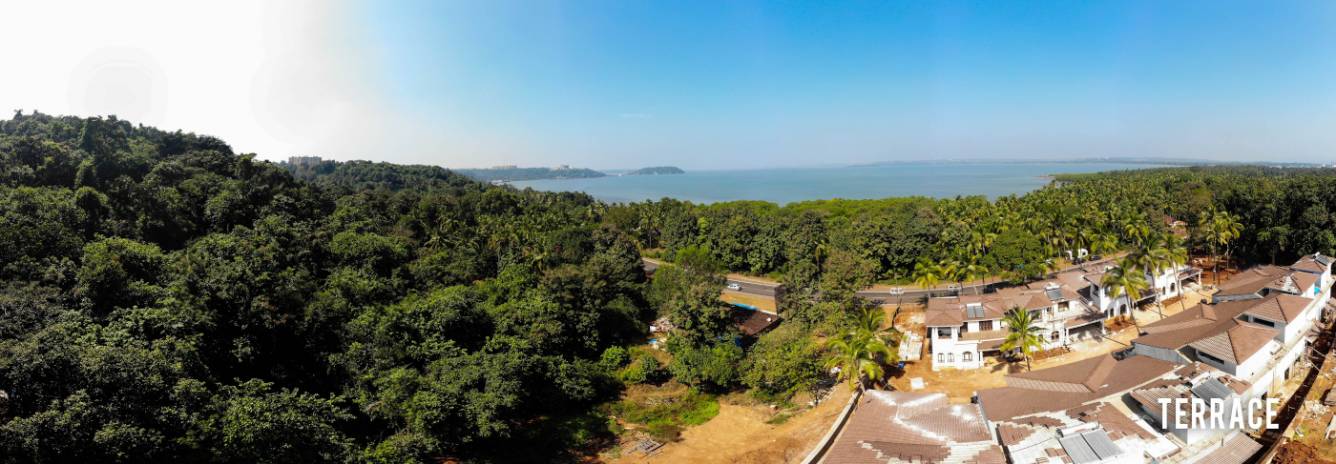  chrysanthe suites Others