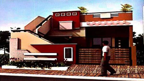  tulips-parisar Elevation