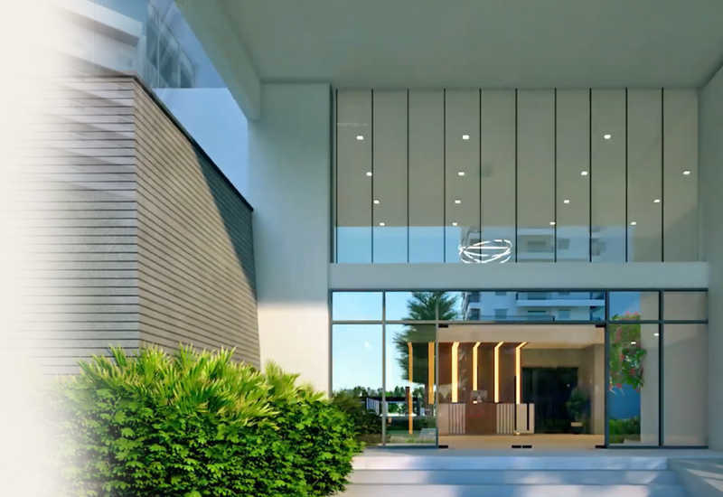  eucalyptus Elevation