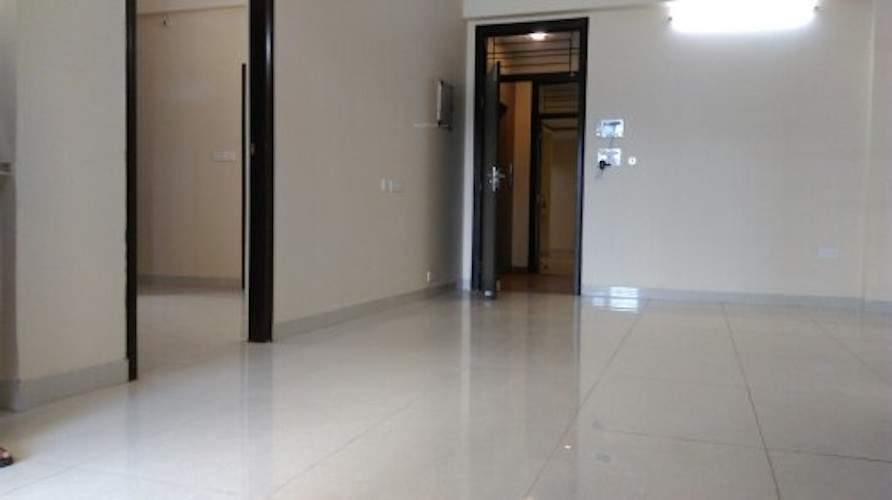  sunflower Living Area