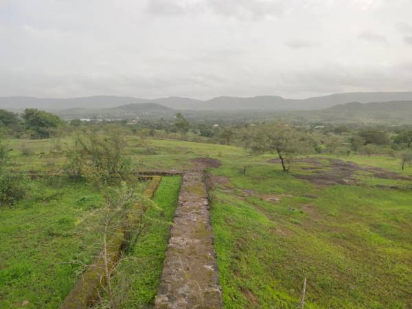 Elevation royal-casa Elevation