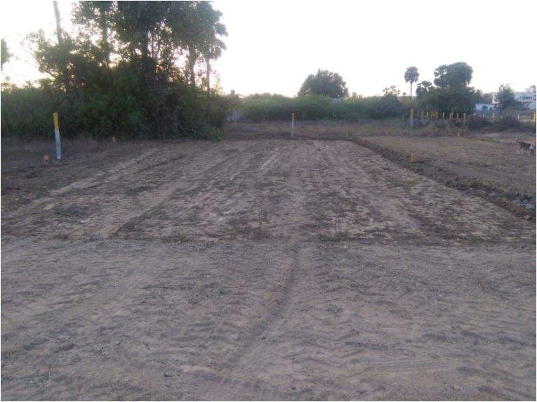  thavesh avenue Plot