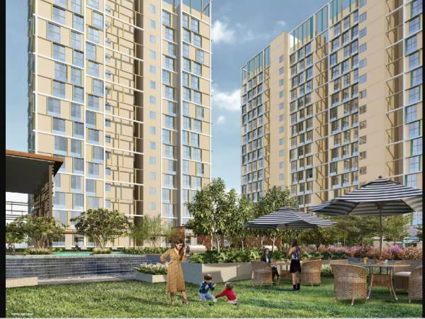  aubburn-wing-c Elevation