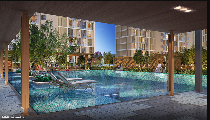  aubburn wing c Others