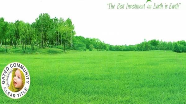  metro-city Elevation