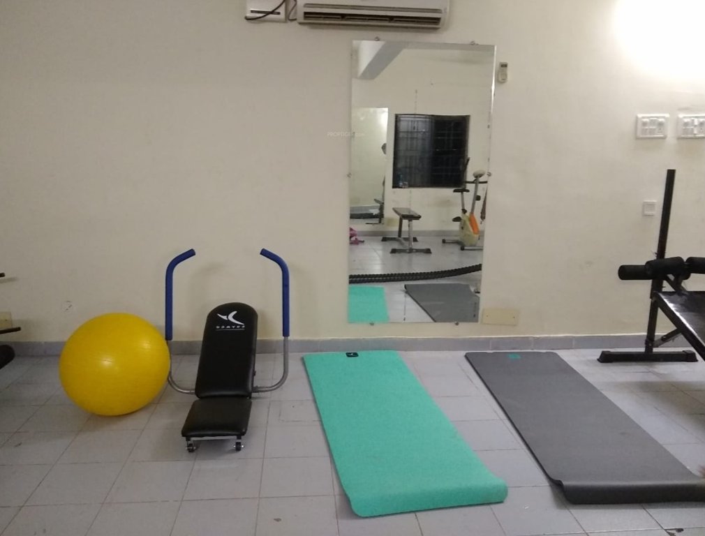  golden palms Gymnasium