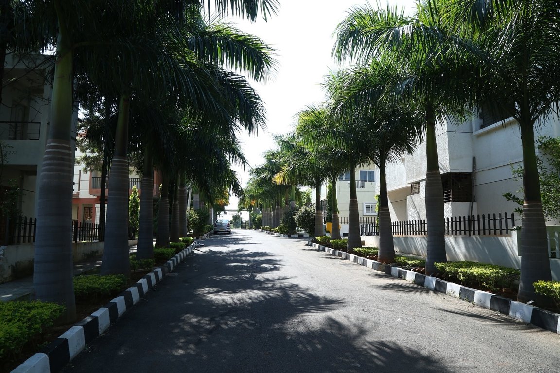  sites and villas Internal Roads