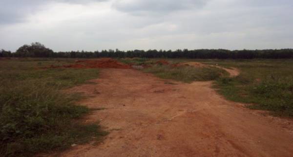  green-valley Elevation