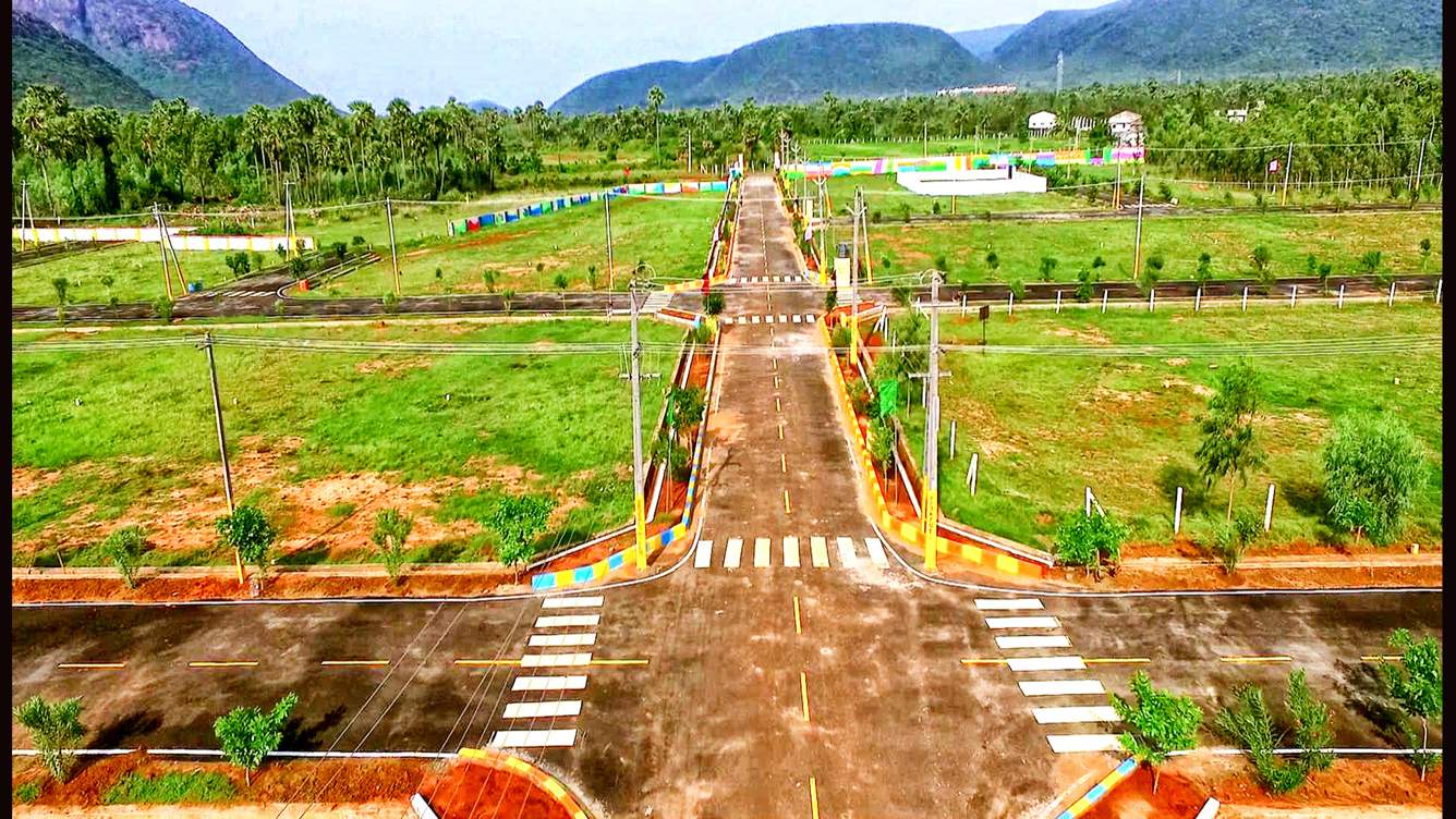  red carpet Elevation