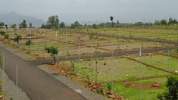 Suncity Platinum