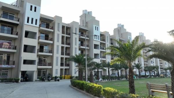 Elevation palms Elevation