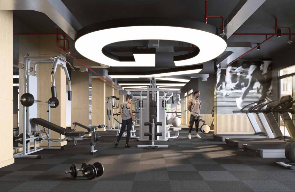  belgravia square Gymnasium