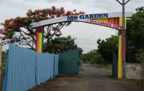 Elevation garden Elevation