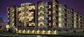 Atmos Builders Oasis