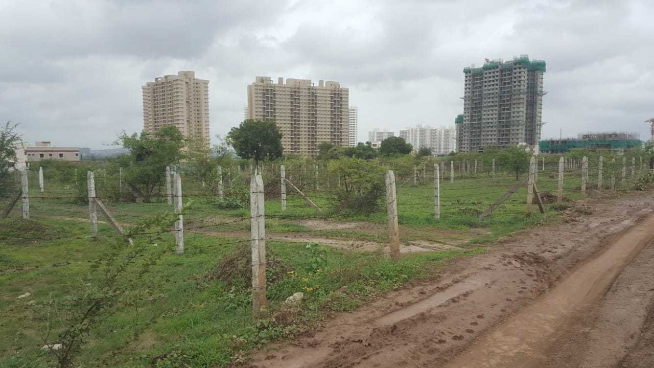 5 star values plus Elevation